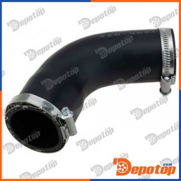 Gaine de suralimentation pour RENAULT | GPP-RE-042, 1065332S01